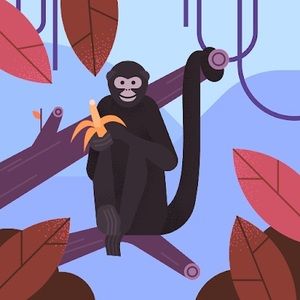 Meet your Posher, John jairo